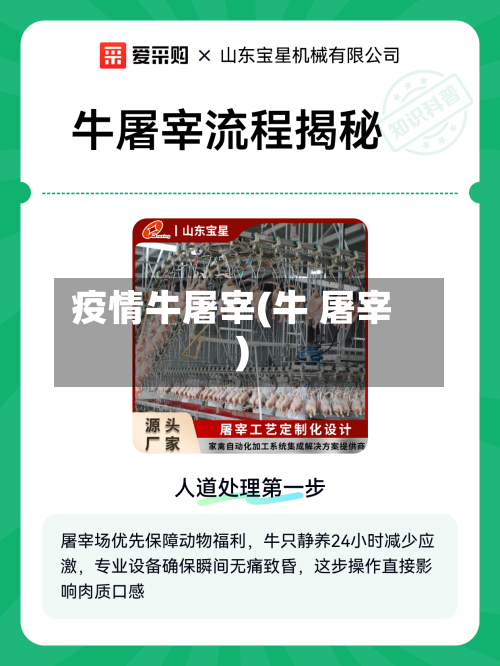 疫情牛屠宰(牛 屠宰)-第1张图片