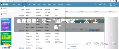 全球爆单！又一“国产爆款	”，太“上头”-第1张图片