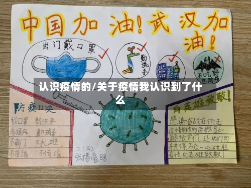 认识疫情的/关于疫情我认识到了什么-第1张图片