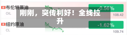 刚刚，突传利好！全线拉升-第2张图片