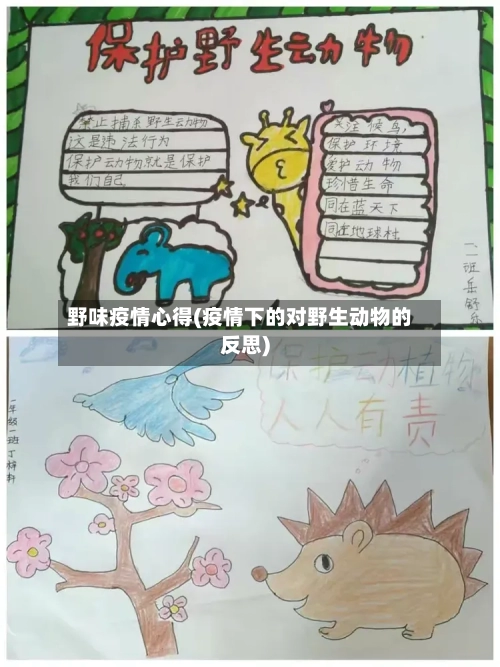 野味疫情心得(疫情下的对野生动物的反思)-第1张图片