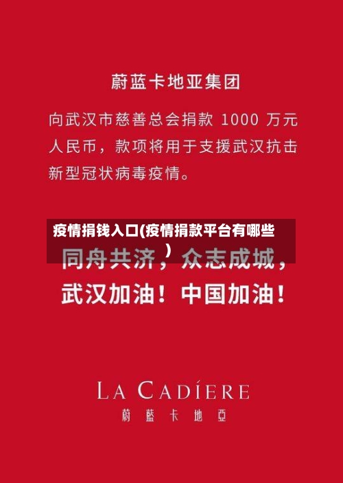 疫情捐钱入口(疫情捐款平台有哪些)-第3张图片