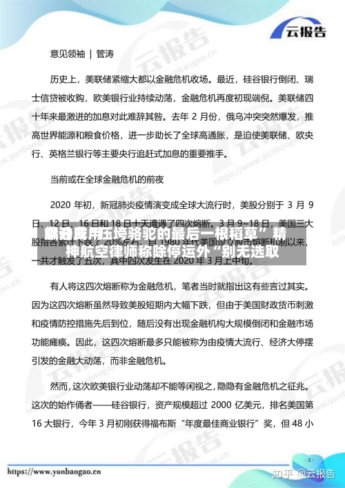 燃油费用飙升成“压垮骆驼的最后一根稻草” 精神航空律师称除停运外“别无选取”-第1张图片