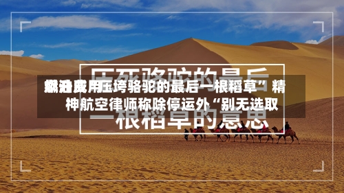 燃油费用飙升成“压垮骆驼的最后一根稻草” 精神航空律师称除停运外“别无选取”-第2张图片