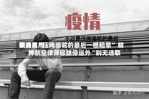 燃油费用飙升成“压垮骆驼的最后一根稻草” 精神航空律师称除停运外“别无选取”-第1张图片