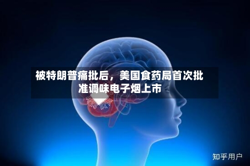 被特朗普痛批后，美国食药局首次批准调味电子烟上市-第2张图片