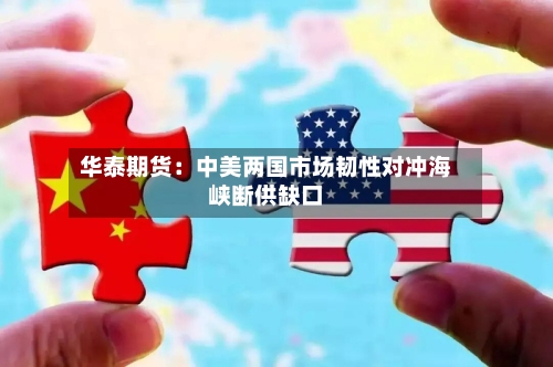 华泰期货:中美两国市场韧性对冲海峡断供缺口-第2张图片