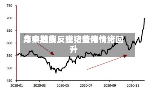 华泰期货：生猪费用月中触底反弹	，整体情绪回升-第2张图片