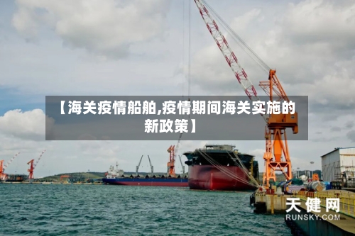 【海关疫情船舶,疫情期间海关实施的新政策】-第2张图片