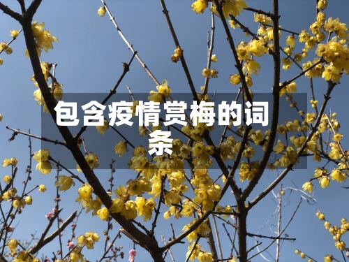 包含疫情赏梅的词条-第3张图片