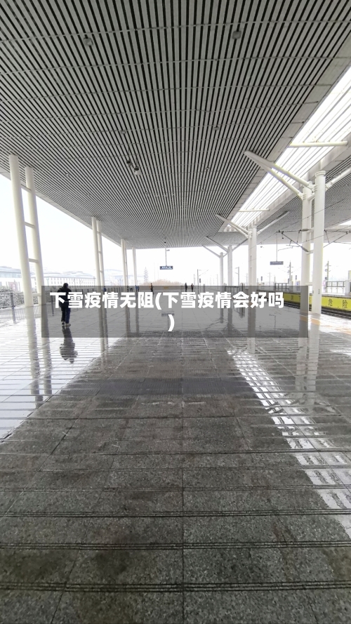 下雪疫情无阻(下雪疫情会好吗)-第2张图片