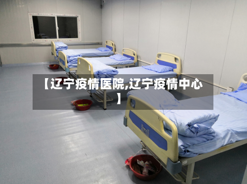 【辽宁疫情医院,辽宁疫情中心】-第1张图片