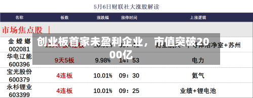 创业板首家未盈利企业	，市值突破2000亿-第2张图片