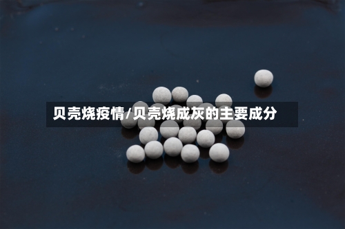 贝壳烧疫情/贝壳烧成灰的主要成分-第2张图片