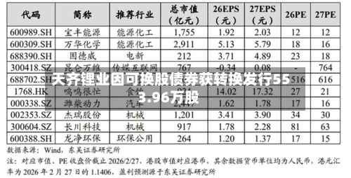 天齐锂业因可换股债券获转换发行553.96万股-第2张图片