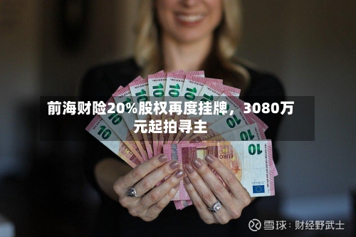 前海财险20%股权再度挂牌	，3080万元起拍寻主-第1张图片