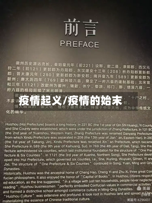 疫情起义/疫情的始末-第1张图片