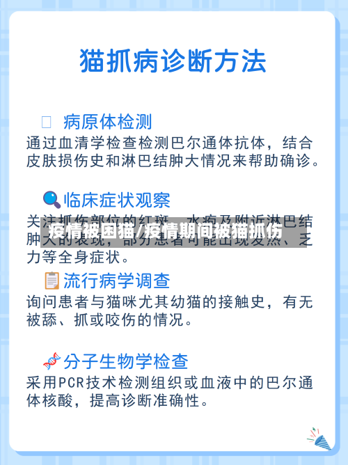 疫情被困猫/疫情期间被猫抓伤-第3张图片