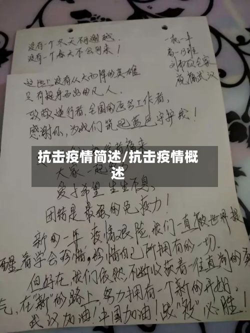 抗击疫情简述/抗击疫情概述-第1张图片