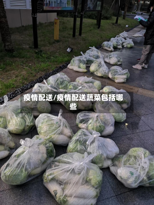 疫情配送/疫情配送蔬菜包括哪些-第1张图片