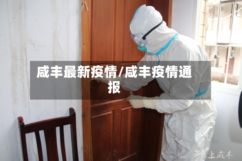 咸丰最新疫情/咸丰疫情通报-第1张图片