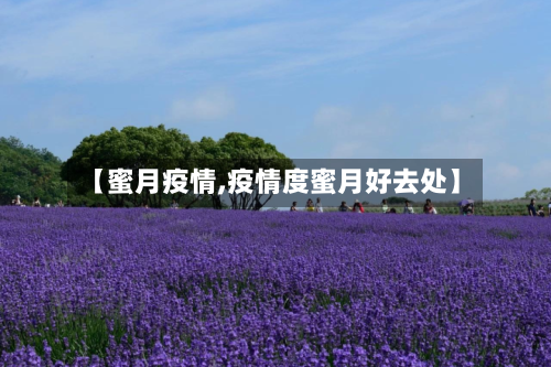 【蜜月疫情,疫情度蜜月好去处】-第3张图片