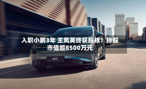 入职小鹏3年 王凤英终获股权!持股市值超8500万元-第2张图片