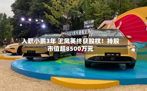 入职小鹏3年 王凤英终获股权!持股市值超8500万元-第1张图片