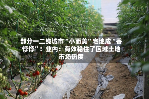 部分一二线城市“小而美”宅地成“香饽饽	”！业内：有效稳住了区域土地市场热度-第1张图片