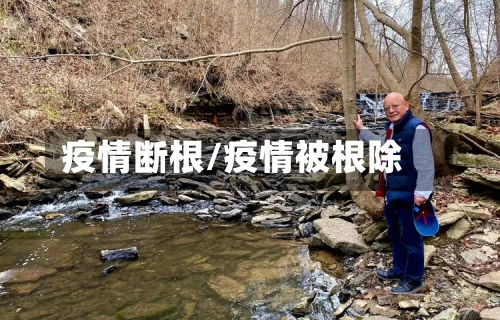 疫情断根/疫情被根除-第1张图片