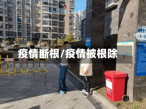 疫情断根/疫情被根除-第2张图片