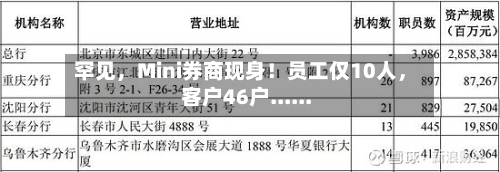 罕见，Mini券商现身！员工仅10人，客户46户......-第1张图片