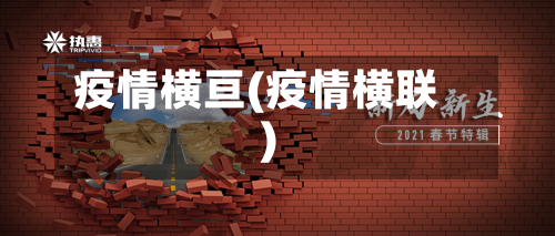 疫情横亘(疫情横联)-第1张图片