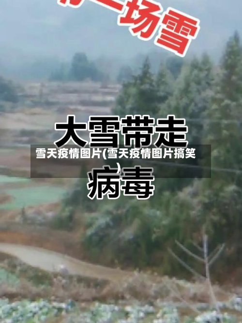 雪天疫情图片(雪天疫情图片搞笑)-第2张图片