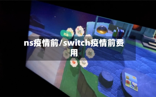 ns疫情前/switch疫情前费用-第1张图片