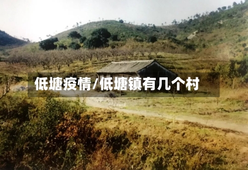 低塘疫情/低塘镇有几个村-第3张图片