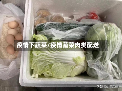 疫情下蔬菜/疫情蔬菜肉类配送-第1张图片