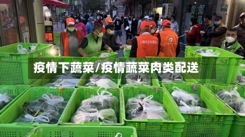 疫情下蔬菜/疫情蔬菜肉类配送-第2张图片
