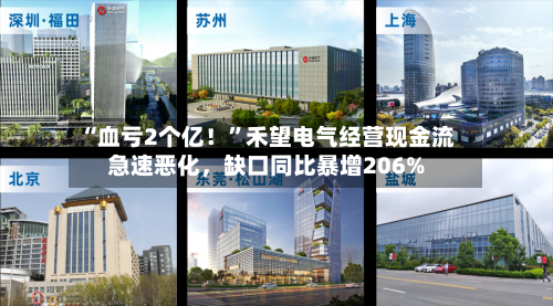 “血亏2个亿！”禾望电气经营现金流急速恶化，缺口同比暴增206%-第3张图片