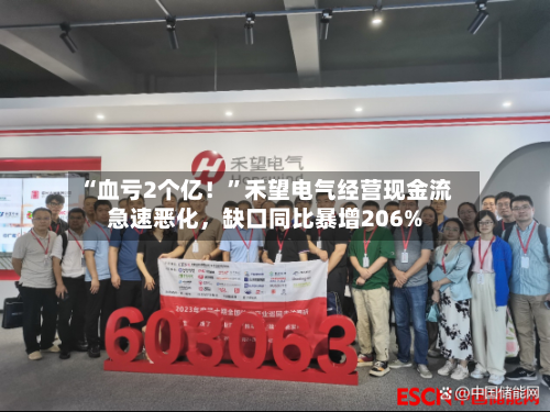 “血亏2个亿！	”禾望电气经营现金流急速恶化，缺口同比暴增206%-第2张图片