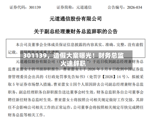 301139，造假大案曝光！财务总监火速辞职-第1张图片