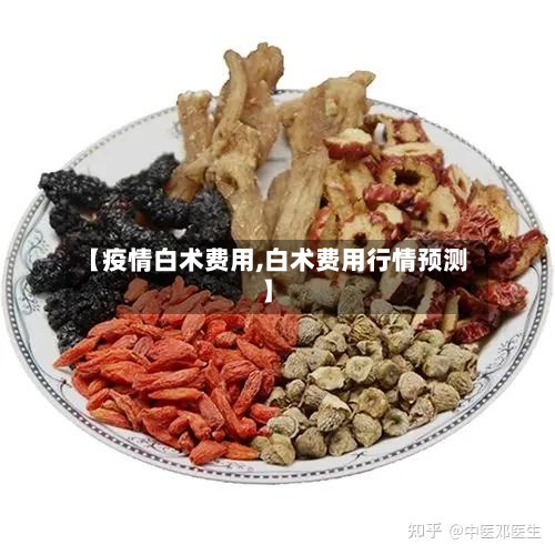 【疫情白术费用,白术费用行情预测】-第1张图片