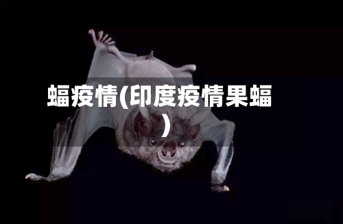 蝠疫情(印度疫情果蝠)-第2张图片