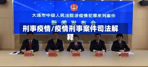 刑事疫情/疫情刑事案件司法解释-第2张图片