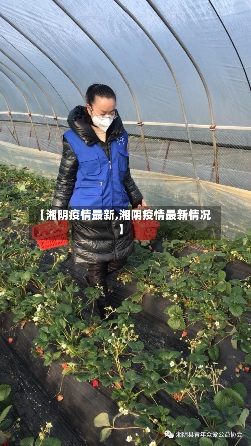 【湘阴疫情最新,湘阴疫情最新情况】-第1张图片