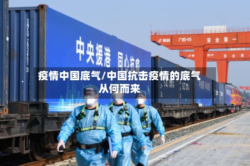 疫情中国底气/中国抗击疫情的底气从何而来-第3张图片