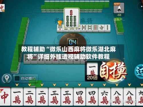 教程辅助“微乐山西麻将微乐湖北麻将”详细外挂透视辅助软件教程-第2张图片