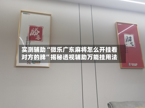 实测辅助“微乐广东麻将怎么开挂看对方的牌”揭秘透视辅助万能挂用法-第1张图片