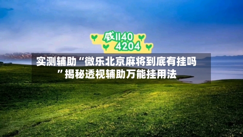 实测辅助“微乐北京麻将到底有挂吗”揭秘透视辅助万能挂用法-第2张图片