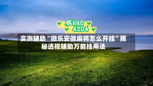 实测辅助“微乐安徽麻将怎么开挂	”揭秘透视辅助万能挂用法-第1张图片